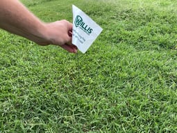 aeration marking flag